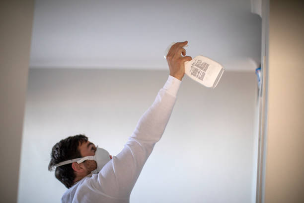Best Certified Mold Removal  in Larimore, ND