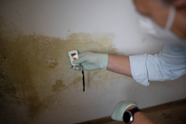 Best Mold Testing  in Larimore, ND