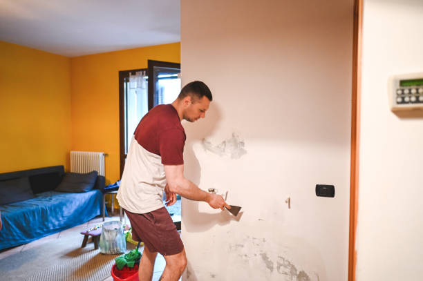 Best Affordable Mold Removal  in Larimore, ND