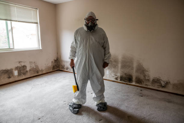 Best Toxic Mold Removal  in Larimore, ND